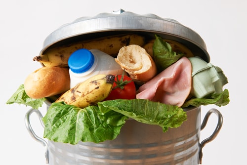 Fresh food in a garbage can. Image: SpeedKingz/Shutterstock.com