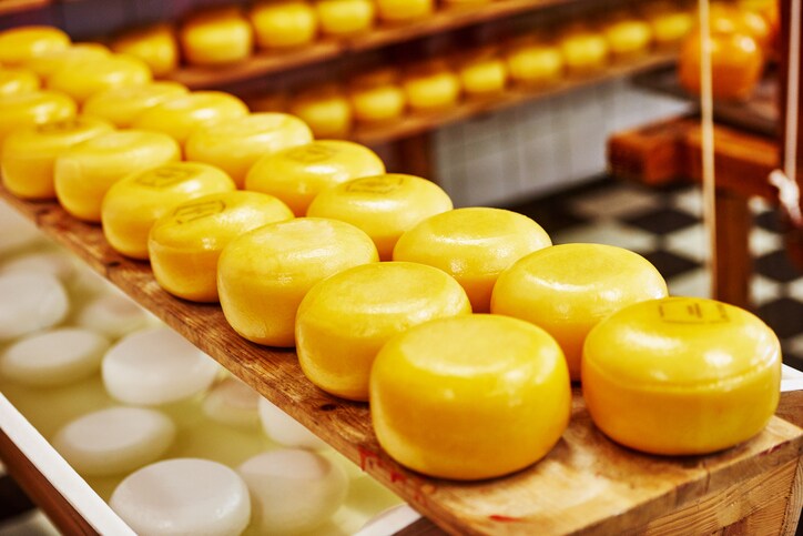 cheese production and inspection
