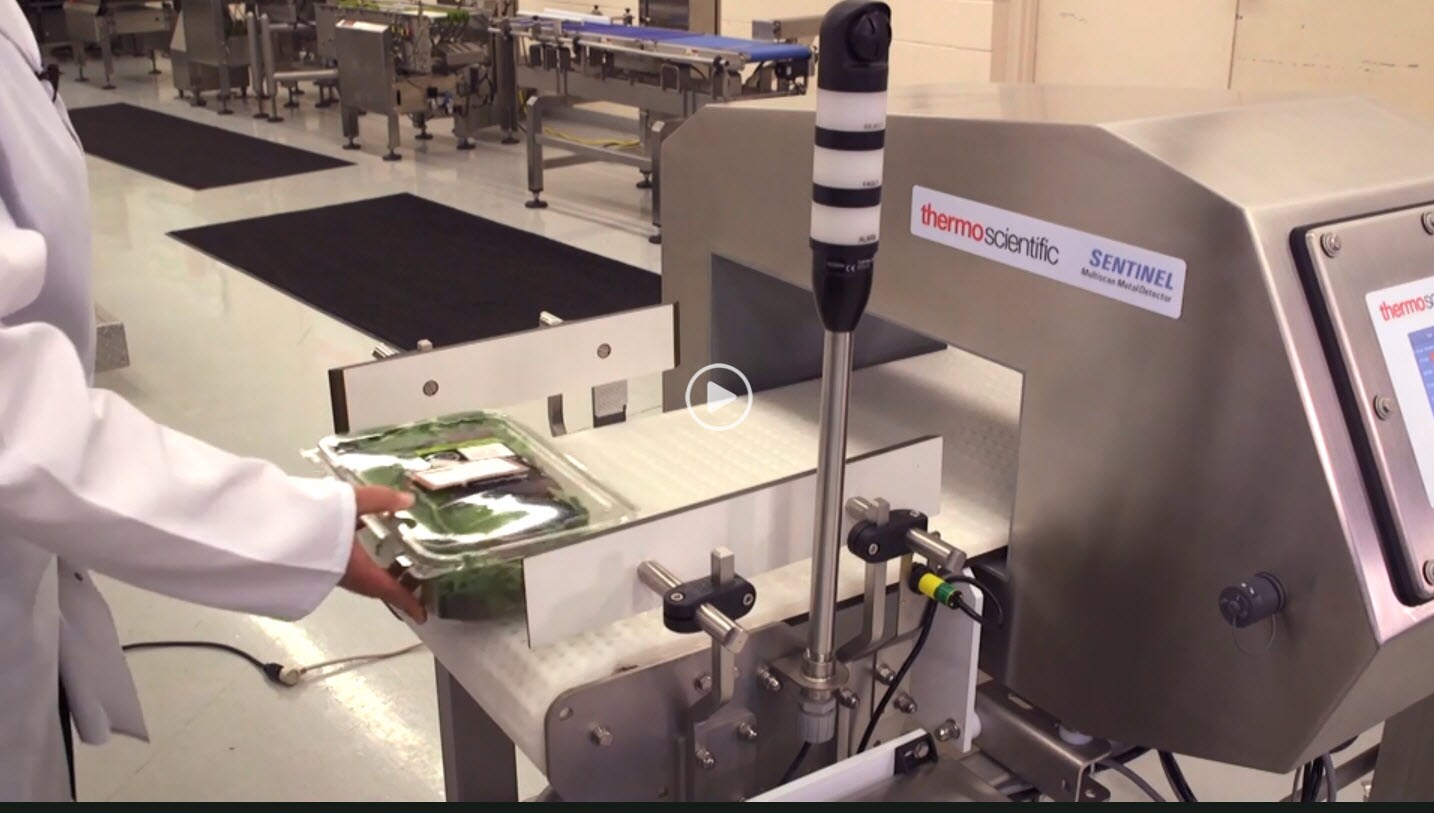 Testing spinach in food metal detector.