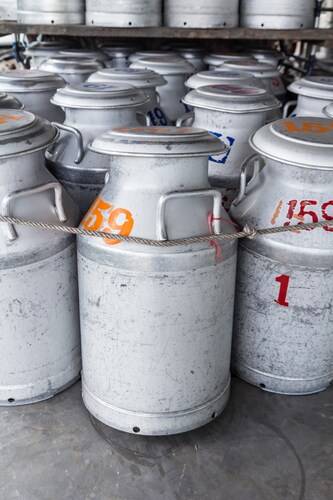 An array of grey metal tanks containing raw milk at a farm.