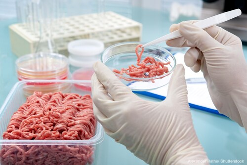 laboratory testing minced meat