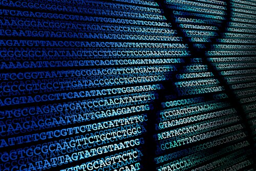DNA sequence / Abstract background of DNA sequence. Image: enzozo/Shutterstock.com.