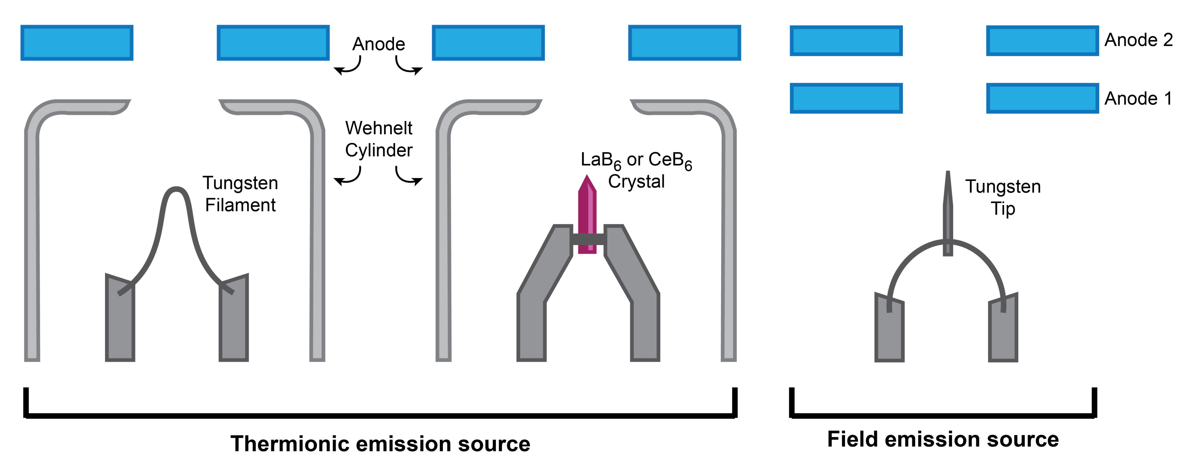 Illustration comparing the various electron emission sources. For thermionic sources the Wehnelt cylinder focuses the electrons as they flow toward the anode. In a field emission source, the first anode accelerates the electrons whereas the second anode focuses them.