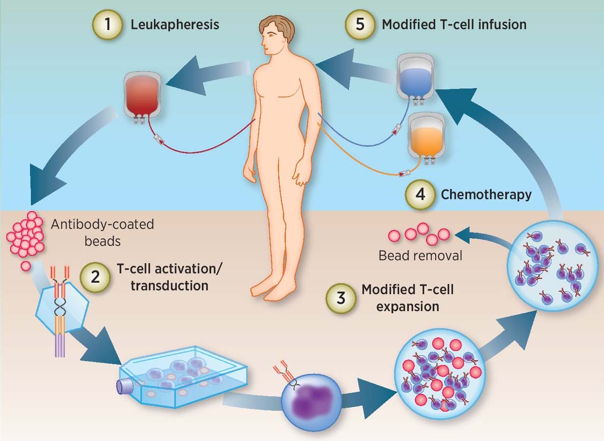 can radiation therapy cause skin cancer