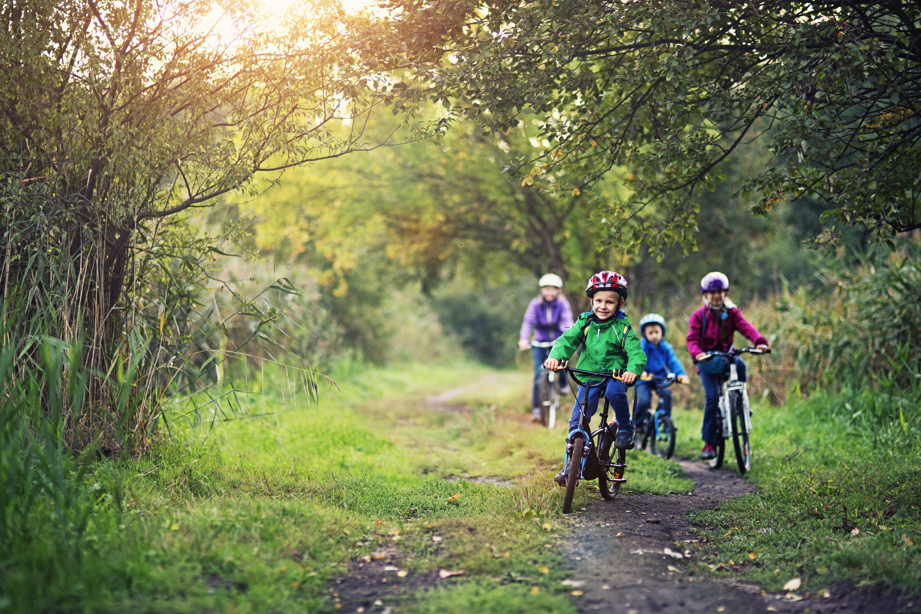 The children are riding bikes. Дети на велосипедах в лесу. Мальчишки на велосипедах. Велосипед. Дети на велосипедах на природе.