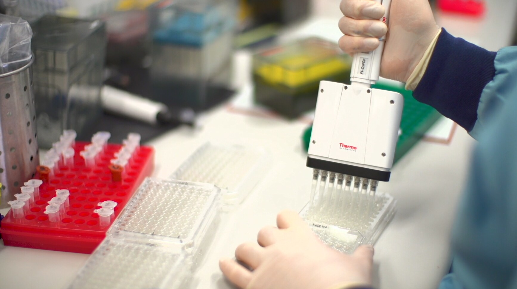 flow cytometry-assisted antimicrobial susceptibility testing Using flow cytometry for the FAST method