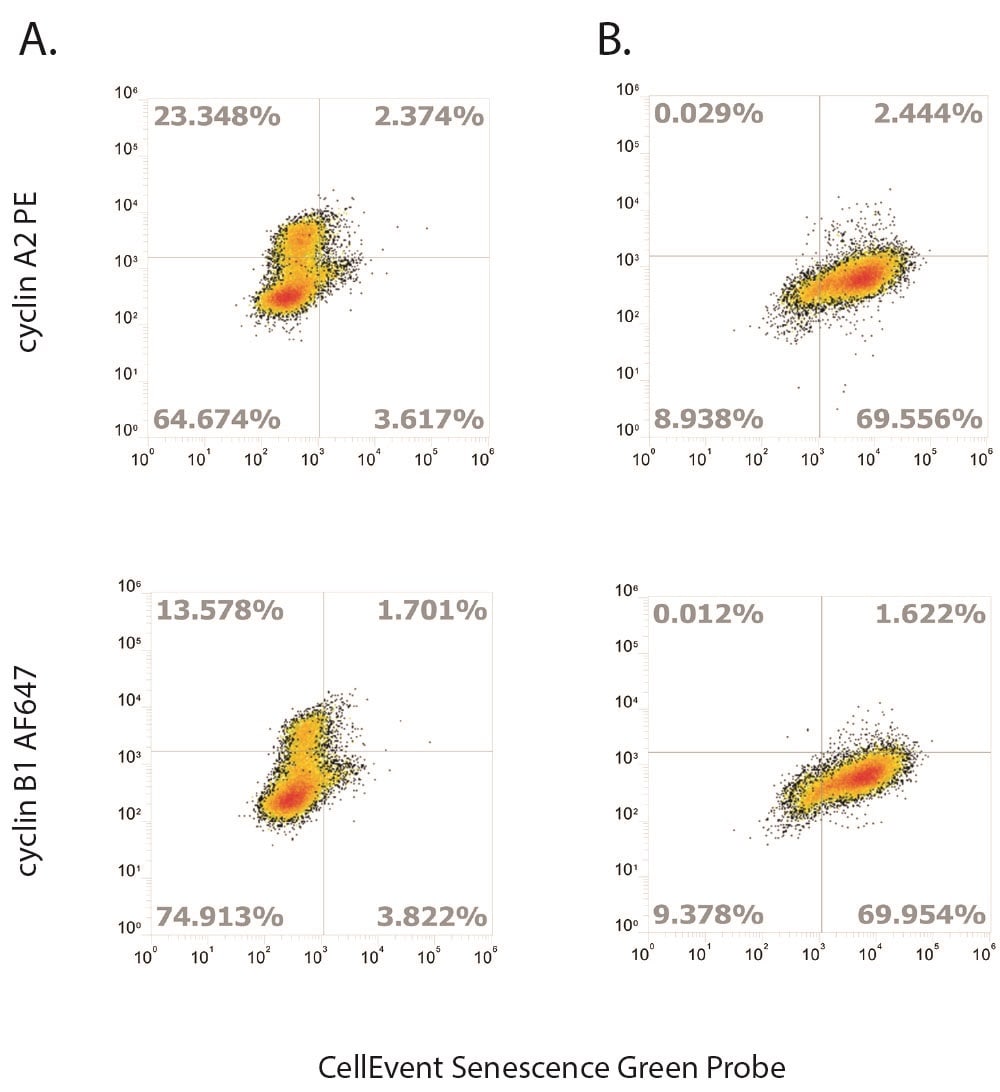 Cellevent Senescence Green dot plots