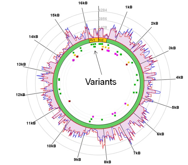 Whole-genome sequencing data