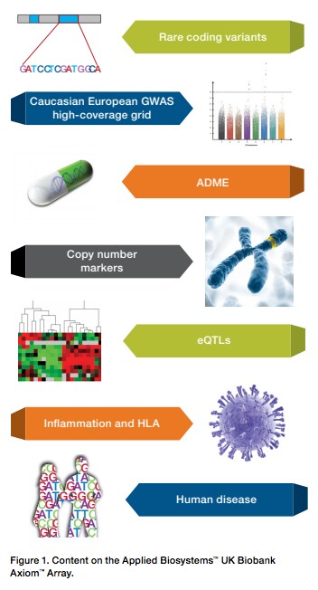 Content on the Applied Biosystems™ UK Biobank Axiom™ Array