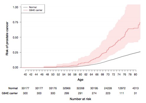  Age-specific risk of prostate cancer by HOXB13 G84E mutation carrier status