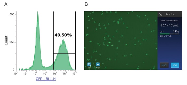 Fluorescent Protein Reporter Gene Transduction Efficiency Measured With
