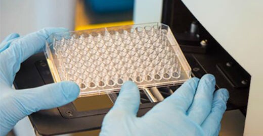 photo of a plate being loaded into a high-content screening instrument