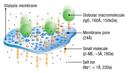 Membrane Pore Size Chart