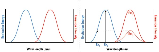 Fluorescent Spectrum Chart