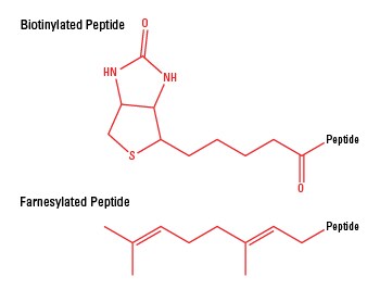 44 inspirierende Zitate über boldenone cypionate