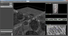 Thermo Scientific Inspect 3D tomography software