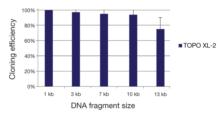 Cloning Chart