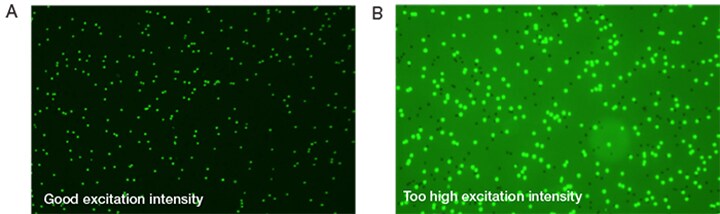 Countess screen shots showing correct fluorescence light intensity settings