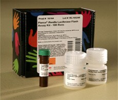 Renilla Luciferase Flash Assay Kit.png
