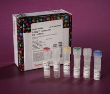 Thermo Scientific™ 1-Step IVT Systems