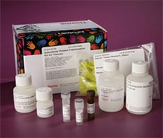 Subcellular Protein Fractionation Kit for Tissues