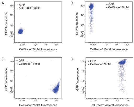 Compatibility of CellTrace™ Violet stain