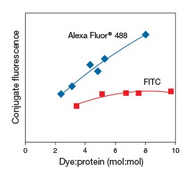 Fluorescein | Thermo Fisher Scientific -