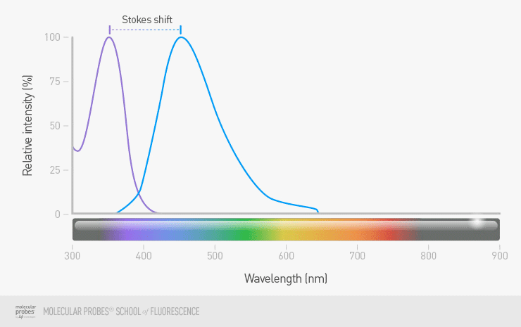 animated graph that shifts back and forth between the excitation and emission peaks of a fluorophore with large Stokes shift and one with a small Stokes shift