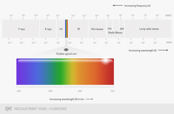 diagram showing the colors of visible light and how they fit into the electromagnetic spectrum