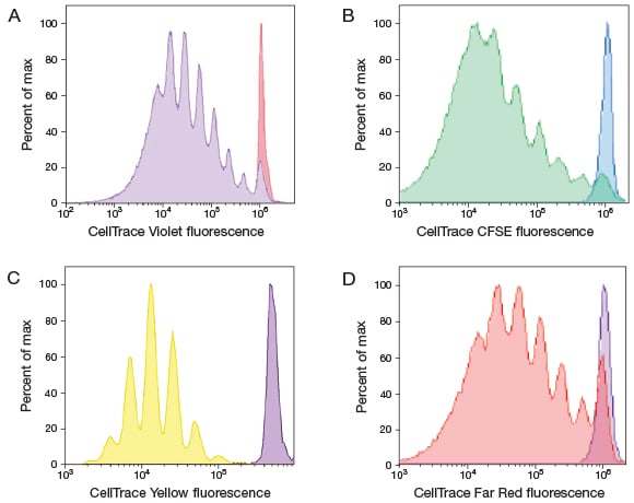Generational tracing using CellTrace reagents
