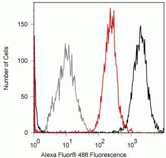 Flow cytometry analysis of STAT4 on human Jurkat cells