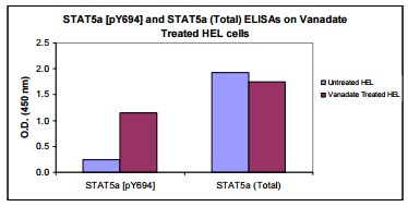 STAT5a