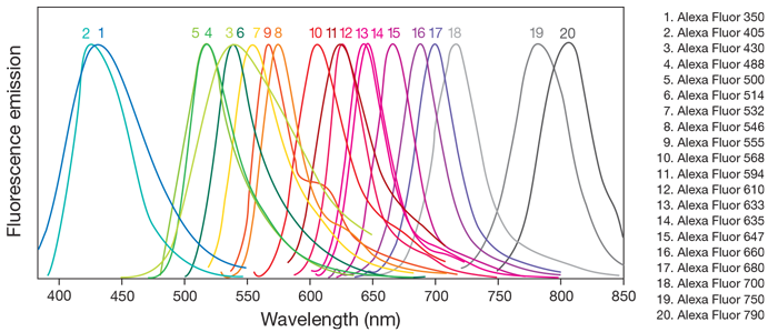 Alexa Fluor Color Chart