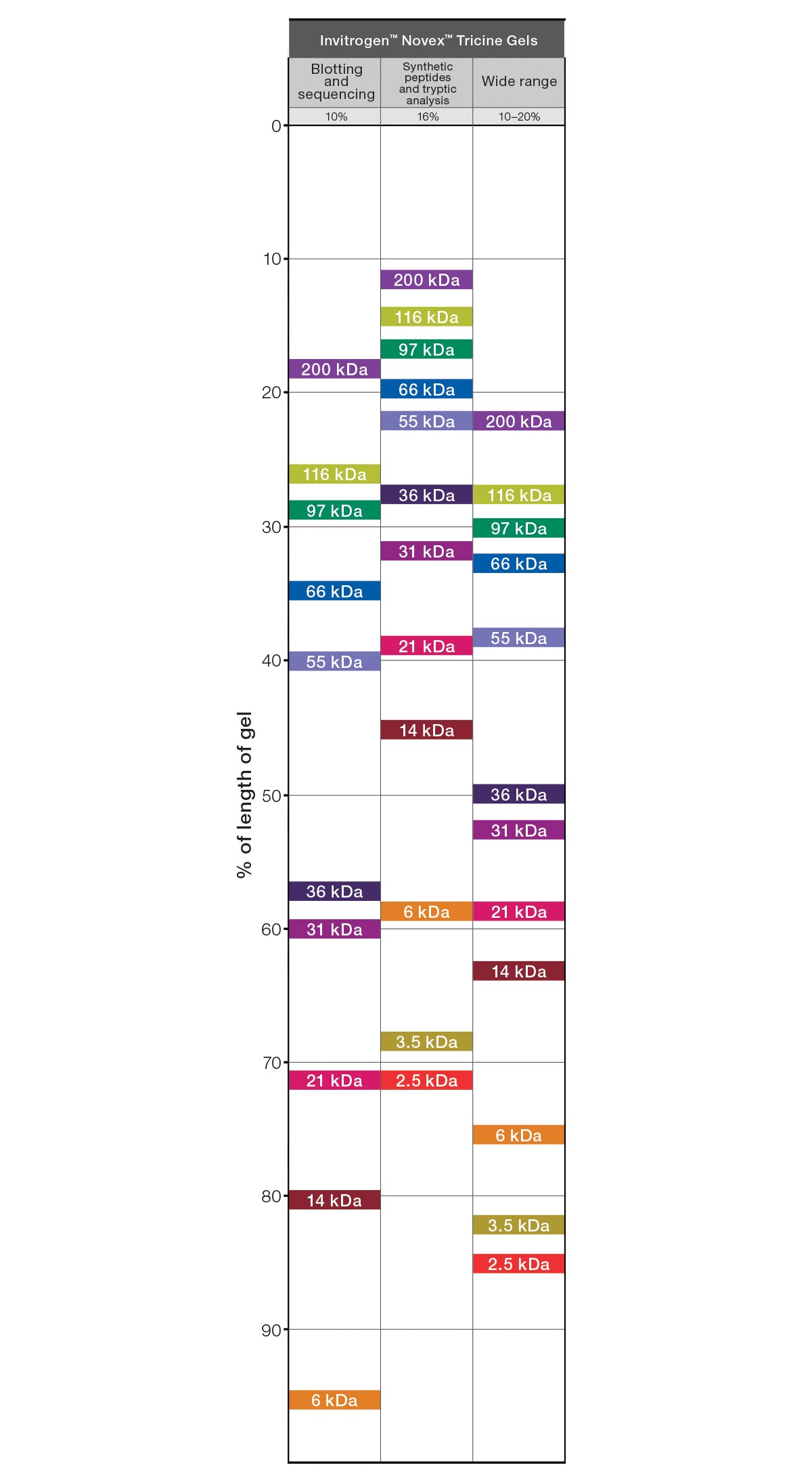 Invitrogen Gel Migration Chart