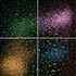 The basics of multicolor flow cytometry panel design