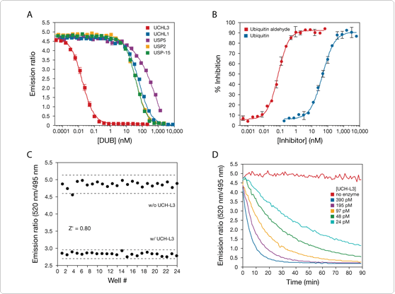 Endpoint and kinetic data readouts for the LanthaScreen™ DUB Substrate 