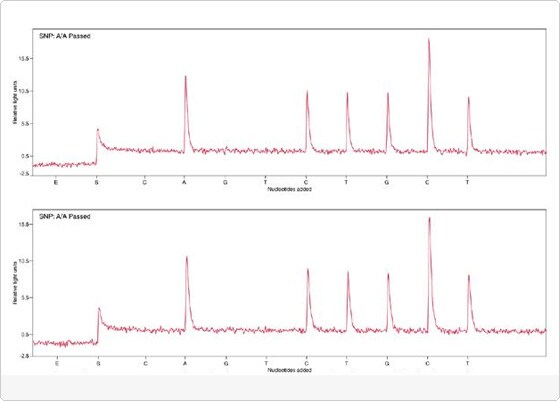 Pyrograms produced with automated and manual template chart