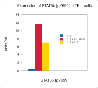 STAT5b