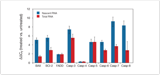 Click-iT® Nascent RNA Capture Kit