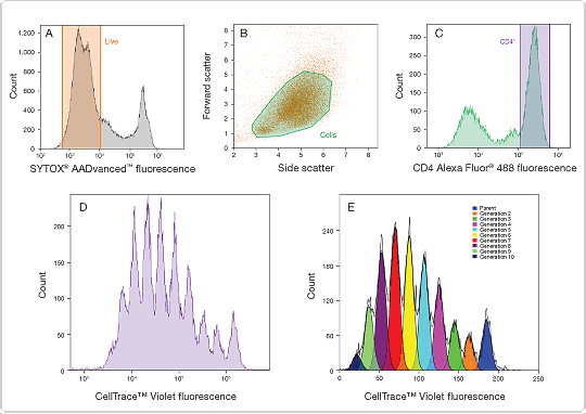 CellTrace™ Violet Cell Proliferation Kit