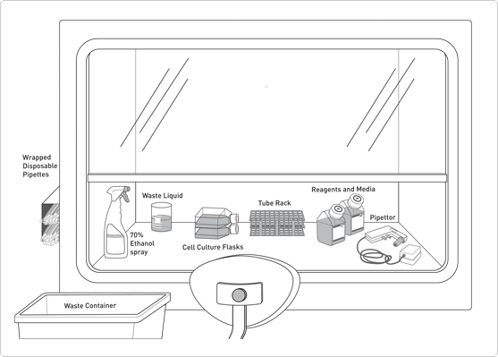 diagram depicting the layout of culturing materials within a cell culture hood for a right-handed worker