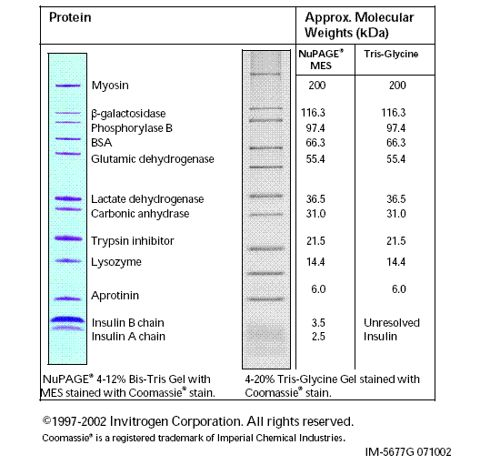 Molecular weights table