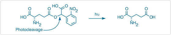 CNB-caged L-glutamic acid