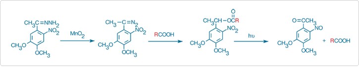 Caging of a carboxylic acid using the hydrazone precursor of DMNPE