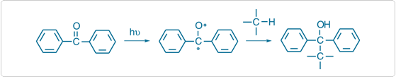 Photoreactive crosslinking reaction of a benzophenone derivative