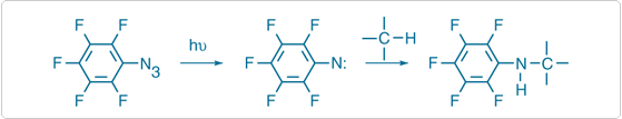 Photoreactive crosslinking reaction of a fluorinated aryl azide