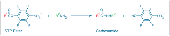 Primary amine with an STP ester