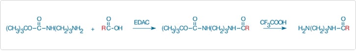 Conversion of a carboxylic acid 