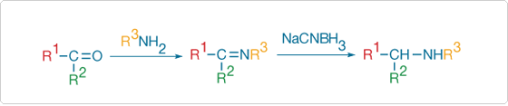 Modifying aldehydes and ketones with amine derivatives