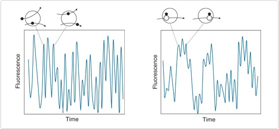 Fluorescence correlation